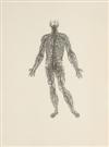 VESALIUS, ANDREAS. Icones Anatomicae.  1934